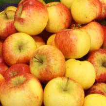 Apfel,10 kg Topaz