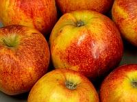 Apfel,10 kg Jonagold