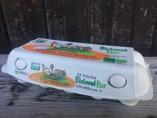 Bruderhahneier 10 St&uuml;ck M/L