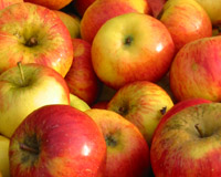 Apfel,10 kg Abo&auml;pfel