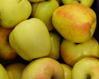 Apfel, Glockenapfel
