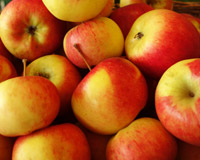 Apfel, Gala