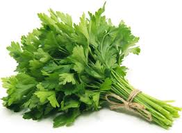 Petersilie glatt