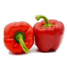 Paprika rot