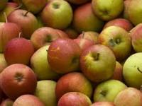 Apfel, Braeburn