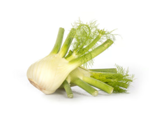 Fenchel