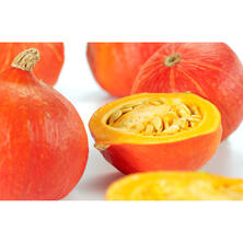 K&uuml;rbis Hokkaido