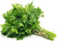 Petersilie glatt