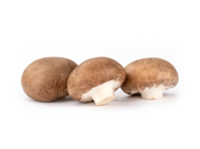 Steinchampignons