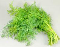 Dill